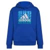 Boys 8-20 adidas Graphic Hoodie -kids pajamas set Sales 5558653