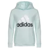 Girls 7-16 adidas Graphic Fleece Hoodie -kids pajamas set Sales 5561651 Alms Blue