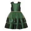 Girls 7-20 Bonnie Jean Tiered Satin Holiday Dress in Regular & Plus