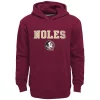 Boys 8-20 Florida State Seminoles Team Slogan Fleece Hoodie -kids pajamas set Sales 5947789